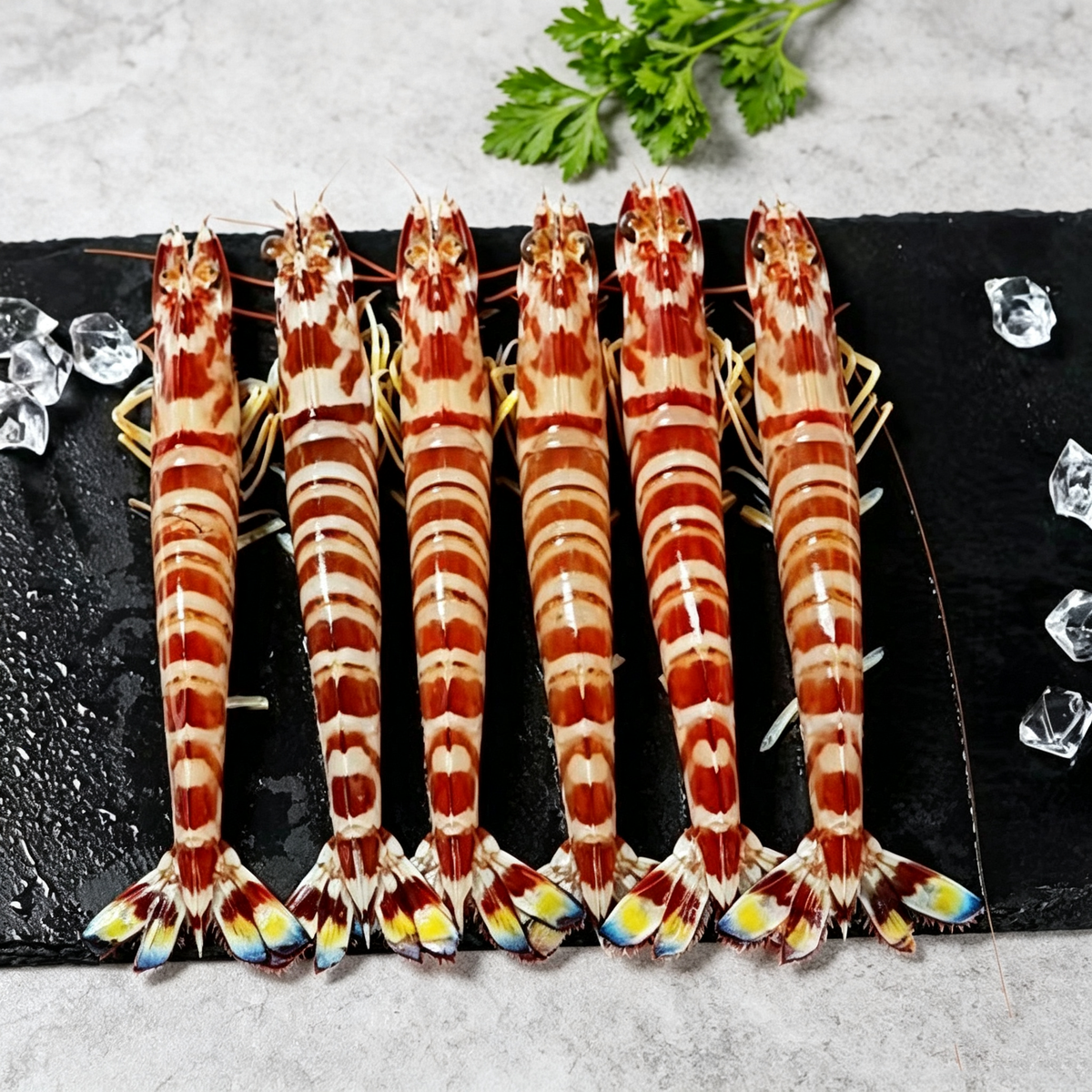 Frozen Raw Patterned Prawns - Detail View