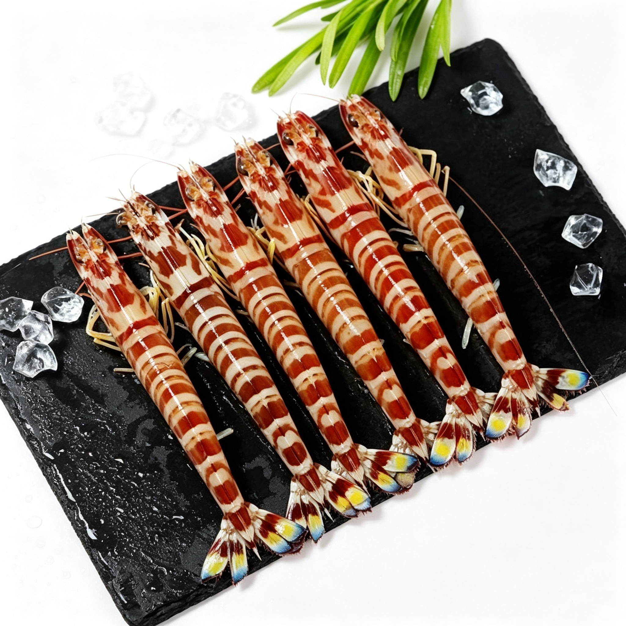 Frozen Raw Patterned Prawns - Front View